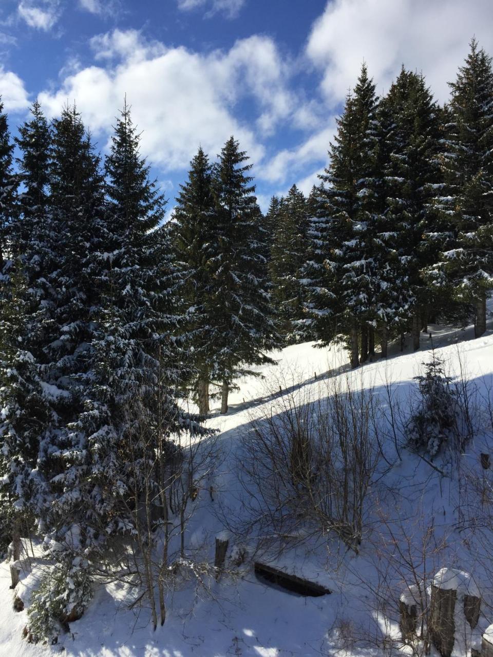 Chalet Gruenegg Grindelwald Esterno foto